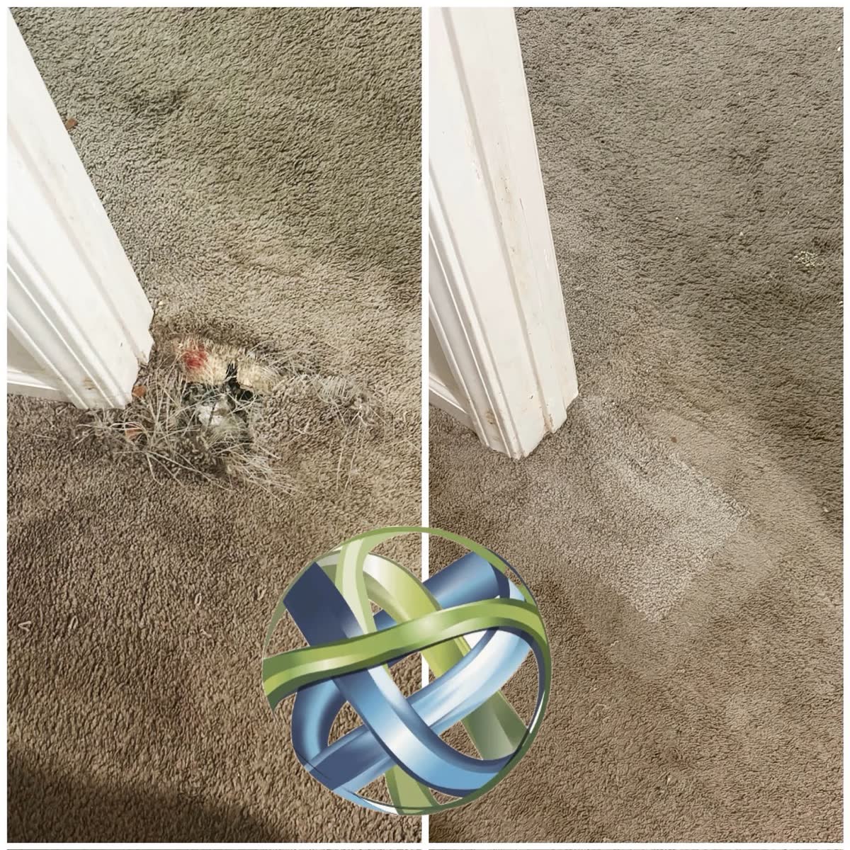 Carpet at a doorway torn up by a pet, before and after our repair
