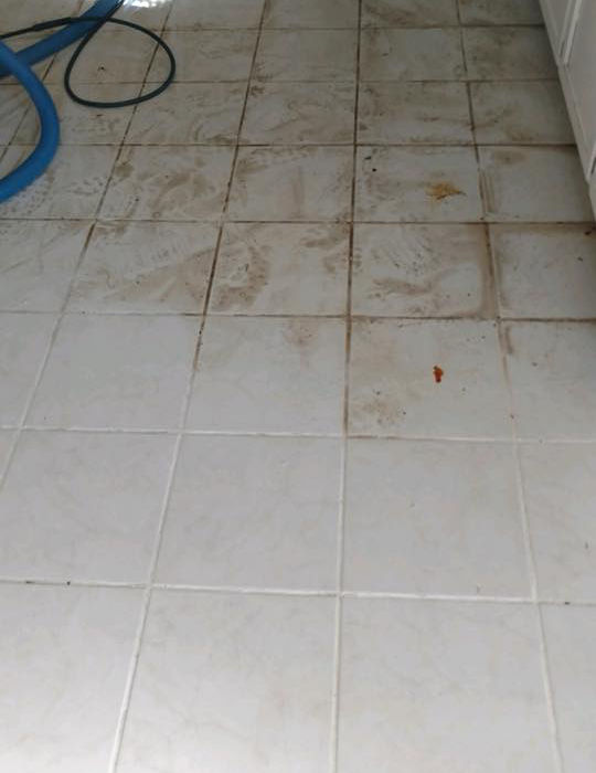 Professional Tile Grout Cleaning In, How To Clean Vinyl Tile Grout